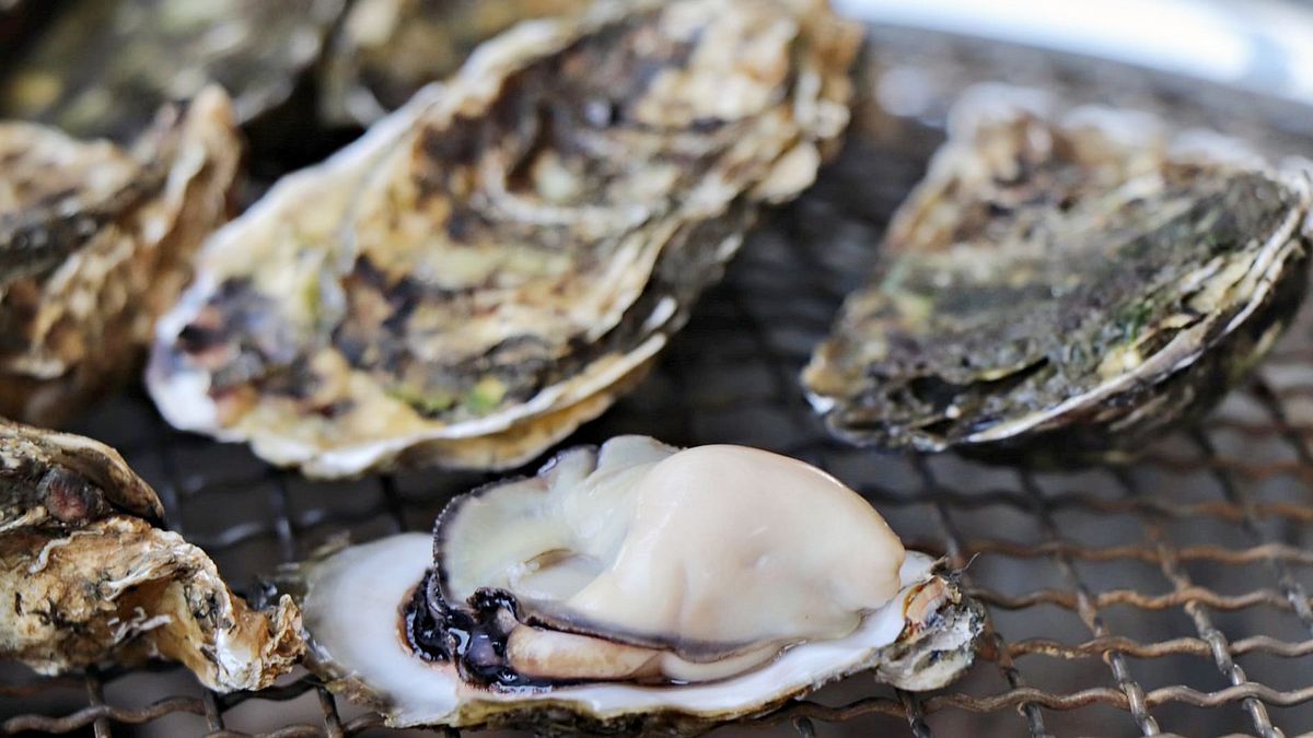 衛生局指出,本月13日有兩組客人分別前往該間蚵仔吃到飽餐廳用餐,第一組客人共有20人,約於當晚6時許抵達用餐,其中甚至有位女性是孕婦。(圖/翻攝自業者公開粉專) 衛生局指出,本月13日有兩組客人分別前往該間蚵仔吃到飽餐廳用餐,第一組客人共有20人,約於當晚6時許抵達用餐,其中甚至有位女性是孕婦。(圖/翻攝自業者公開粉專)