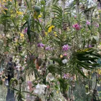 チームラボプラネッツTOKYOが累計来館者数1000万人を突破し、夏限定アートや新作ヴィーガングルメを公開。(写真/黃信維撮影) チームラボプラネッツTOKYOが累計来館者数1000万人を突破し、夏限定アートや新作ヴィーガングルメを公開。(写真/黃信維撮影)