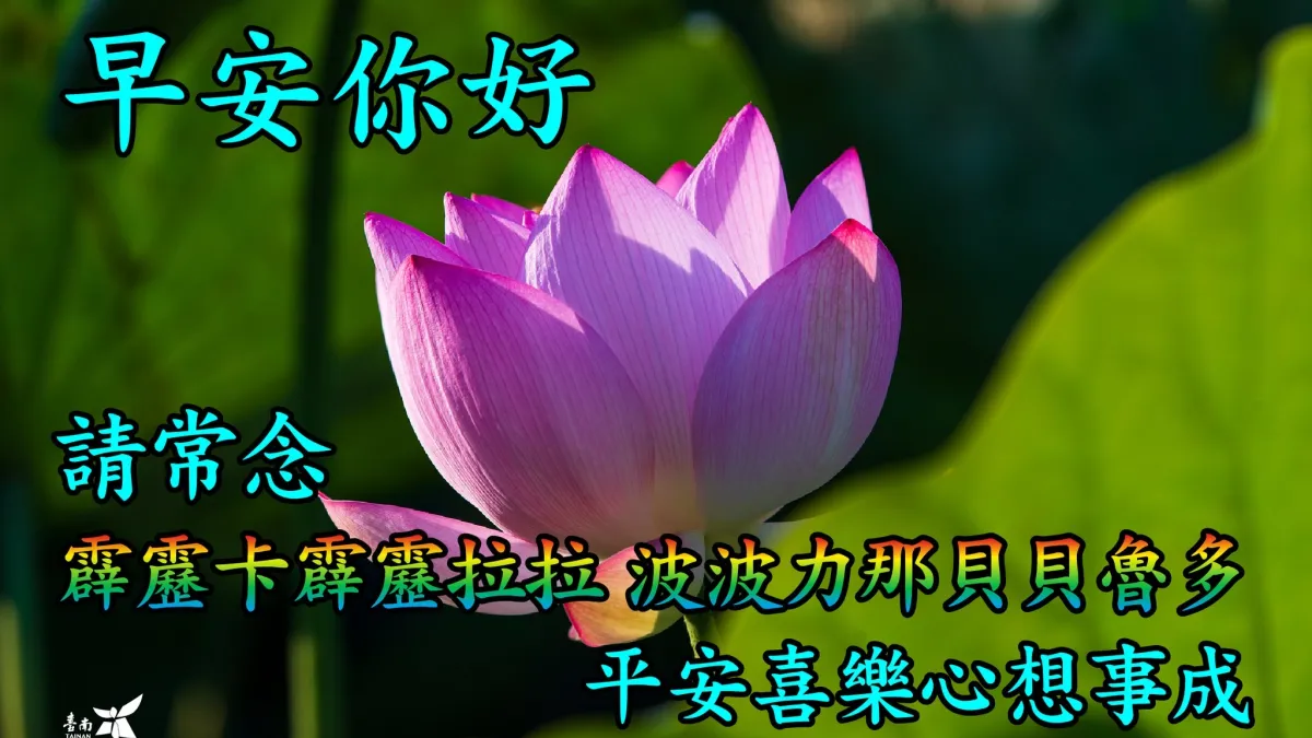 黃偉哲將白河蓮花美照加上厘頭文字梗,製成長輩圖範例。(圖/翻攝自黃偉哲臉書)