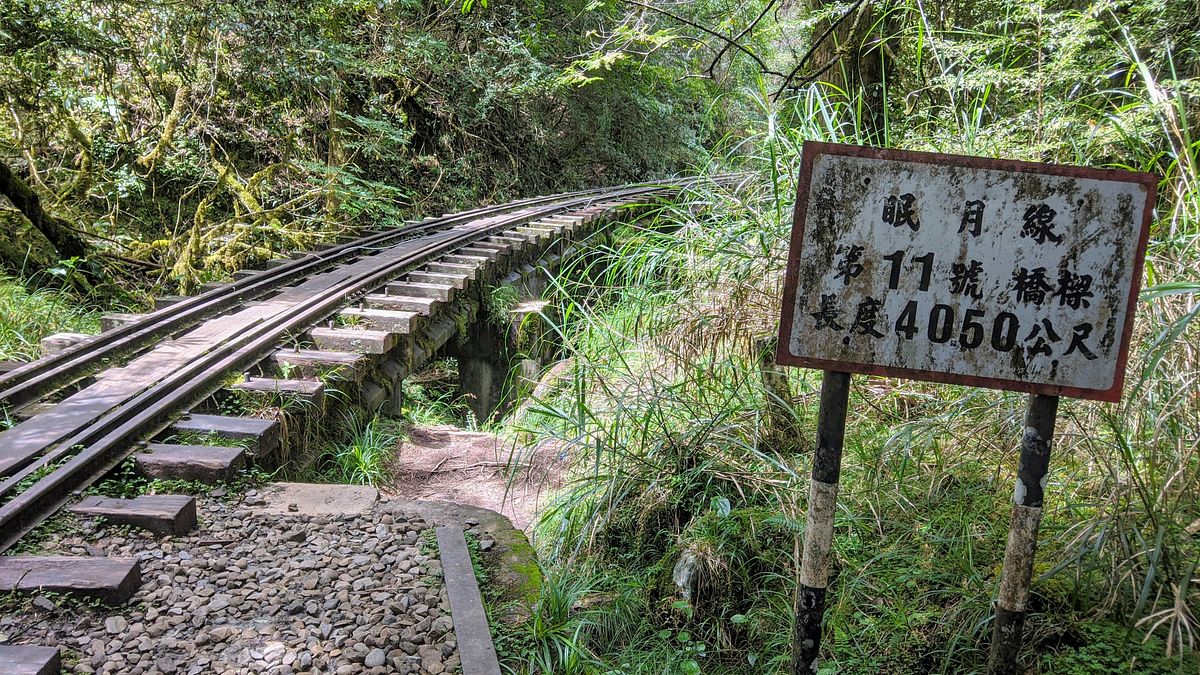 嘉義阿里山眠月線。(圖/洪煜勛攝) 嘉義阿里山眠月線。(圖/洪煜勛攝)
