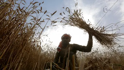 偉巖嵩嶽排闥當衝而來的第三次世界糧食危機,將很可能極度衝擊臺灣經濟。(資料照,美聯社)