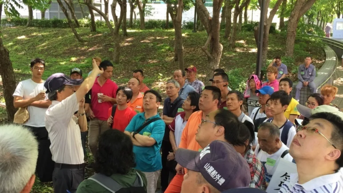 重重測驗把關 新北樹木修剪員認證有一套