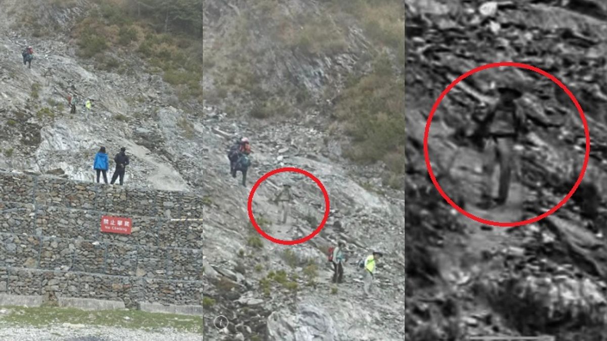 山友說拍到灰衣人,但現場並無這人。(圖/翻攝自靠北登山大小事臉書) 山友說拍到灰衣人,但現場並無這人。(圖/翻攝自靠北登山大小事臉書)