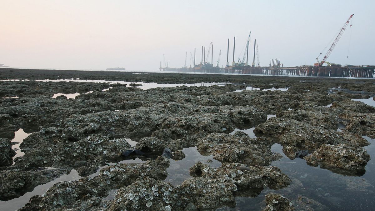 藻礁公投議題延燒,近來學界發起「啟動社會溝通、共尋雙贏方案」連署,盼能為各方溝通搭建橋梁。(資料照,柯承惠攝) 藻礁公投議題延燒,近來學界發起「啟動社會溝通、共尋雙贏方案」連署,盼能為各方溝通搭建橋梁。(資料照,柯承惠攝)