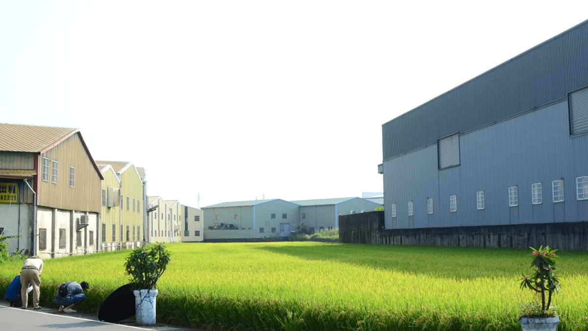 未來農田被工廠包圍,你們真的能夠安心嗎?(王章逸提供) 未來農田被工廠包圍,你們真的能夠安心嗎?(王章逸提供)