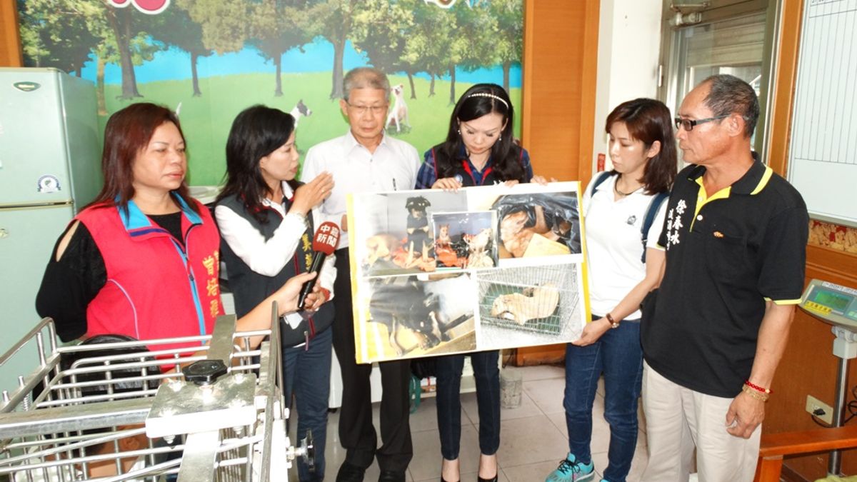 3隻浪犬送灣裡收容所結紮全暴斃 議員痛批「草菅狗命」 3隻浪犬送灣裡收容所結紮全暴斃 議員痛批「草菅狗命」