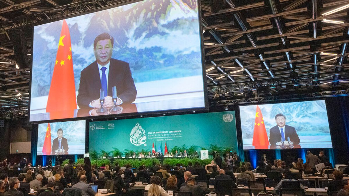 中國發表「解決烏克蘭危機的中國立場」,意在弦外。圖為中國國家主席習近平在加拿大COP15聯合國生物多樣性會議發表視訊演說。(美聯社) 中國發表「解決烏克蘭危機的中國立場」,意在弦外。圖為中國國家主席習近平在加拿大COP15聯合國生物多樣性會議發表視訊演說。(美聯社)