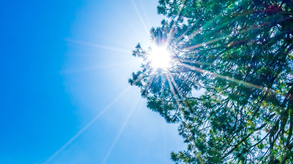 初四到下週天氣懶人包!全台暖如夏「高溫飆到31度」,這天起變天最濕冷時間曝