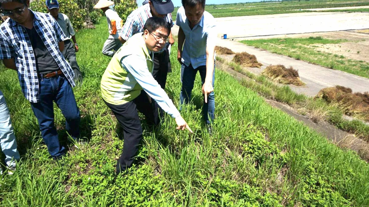 老鼠挖洞惹禍 曾文溪青草崙土堤待修