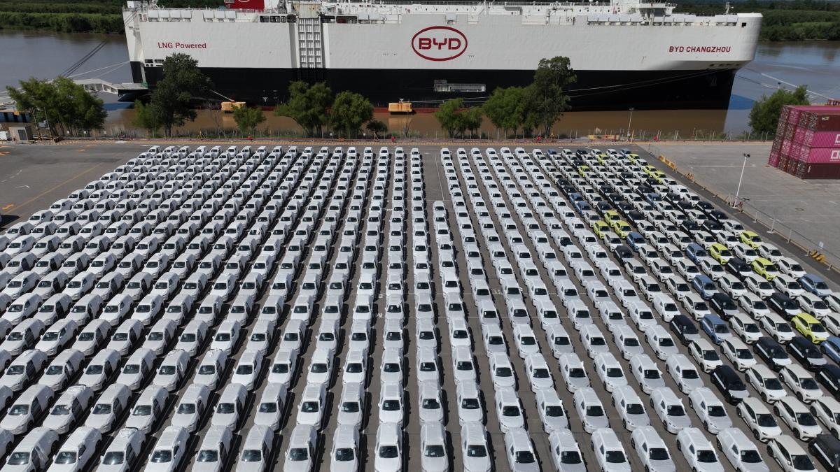 今年全球電動車銷量可望突破2300萬輛 BloombergNEF示警:美中成長動能將趨緩