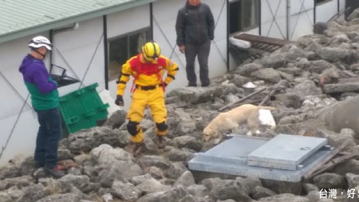 8個月訓練 南市搜救犬通過國際評量E級測驗