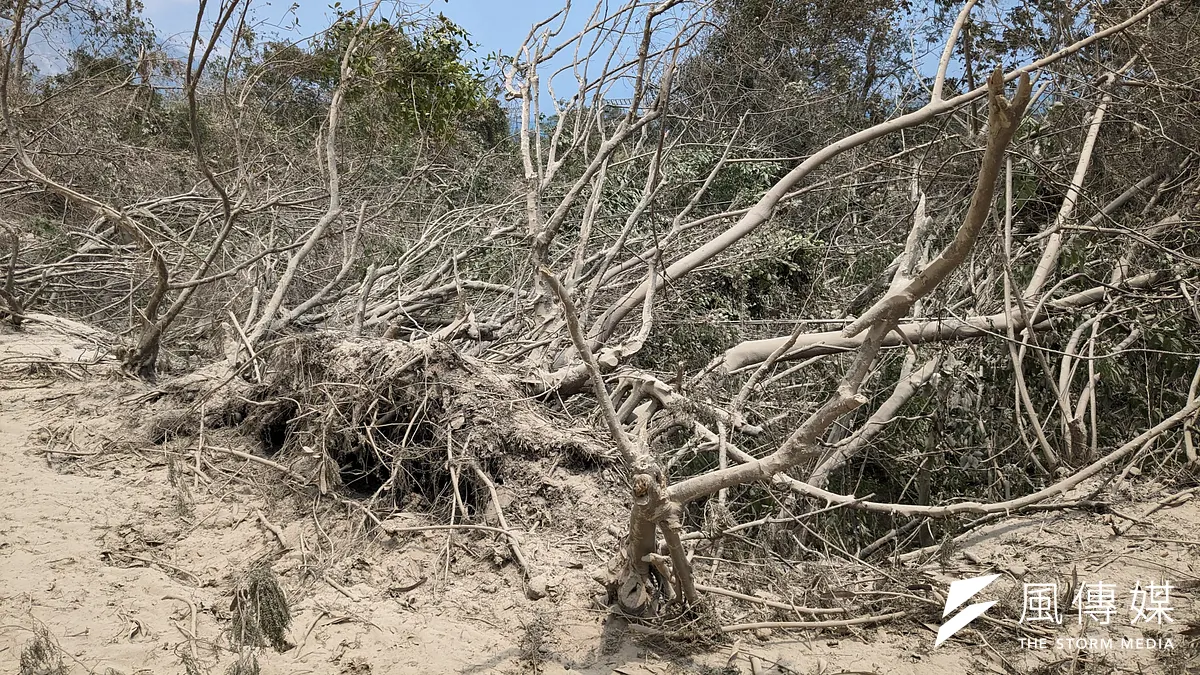 4月3日發生強震,蘇花公路崇德段路面路樹遭坍方土石覆蓋。(資料照/顏麟宇攝) 4月3日發生強震,蘇花公路崇德段路面路樹遭坍方土石覆蓋。(資料照/顏麟宇攝)