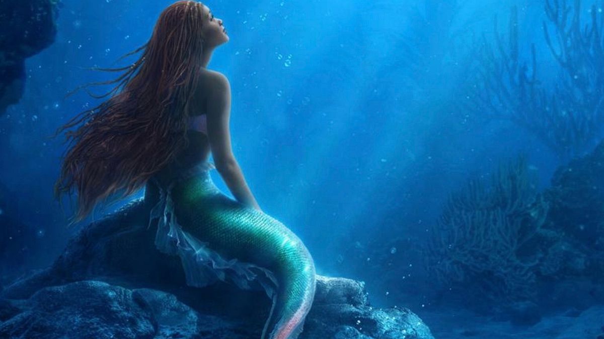 (德國之聲) (德國之聲)