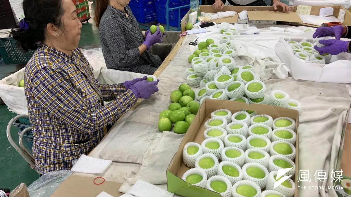 高雄市政府農產內外銷分流聯手農友棗幸福。(圖/徐炳文攝)