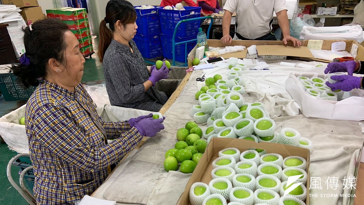 高雄市政府農產內外銷分流聯手農友棗幸福。(圖/徐炳文攝) 高雄市政府農產內外銷分流聯手農友棗幸福。(圖/徐炳文攝)