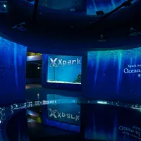『Xpark meets NAKED~Ocean of Light 潜浸海洋』――光と海に包まれる没入体験型展示 『Xpark meets NAKED~Ocean of Light 潜浸海洋』――光と海に包まれる没入体験型展示