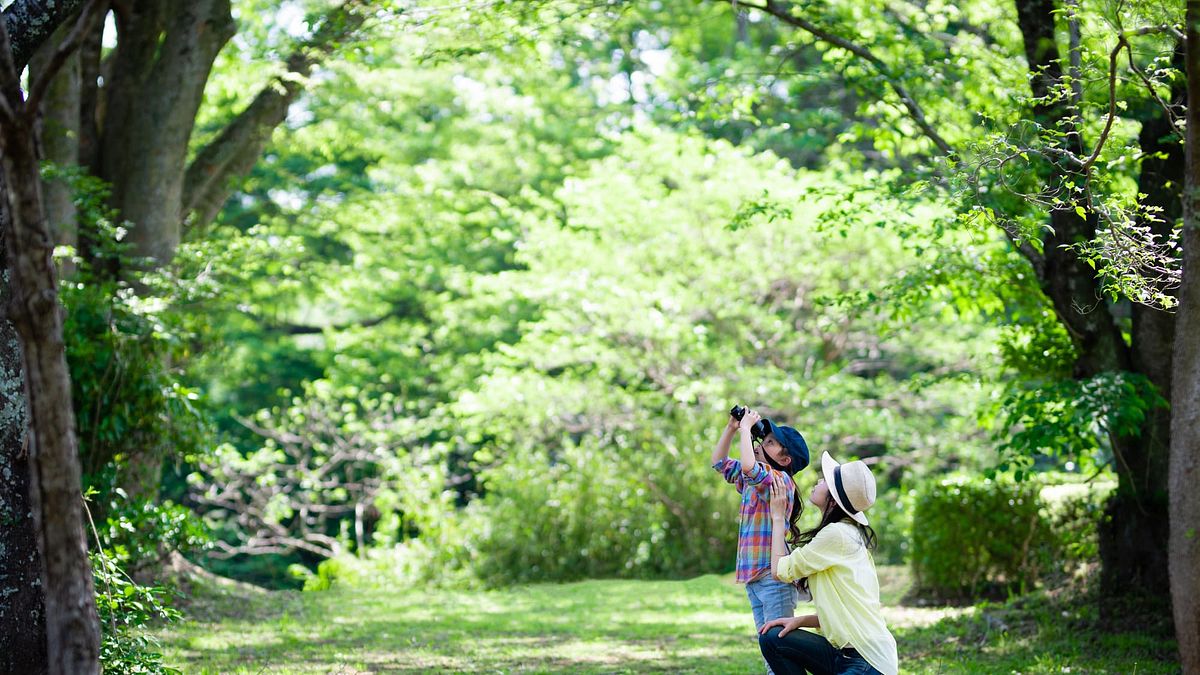「有怪獸的奇幻旅程」自然生態攝影比賽,徵件自即日起至2024年7月8日止,12歲以下小朋友也可以參賽,南山人壽邀請民眾透過鏡頭一起捕捉台灣自然生態美景。(圖片提供:南山人壽) 「有怪獸的奇幻旅程」自然生態攝影比賽,徵件自即日起至2024年7月8日止,12歲以下小朋友也可以參賽,南山人壽邀請民眾透過鏡頭一起捕捉台灣自然生態美景。(圖片提供:南山人壽)