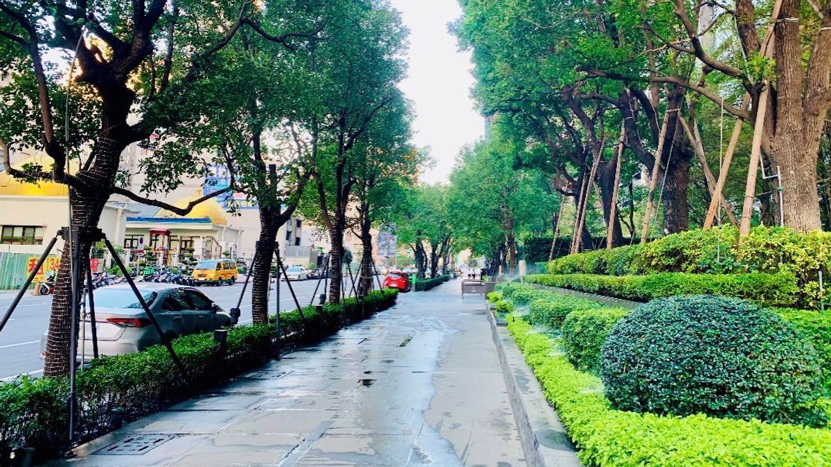 美術館地區退縮人行步道雙排喬木示意圖。(圖/高市都發局提供) 美術館地區退縮人行步道雙排喬木示意圖。(圖/高市都發局提供)