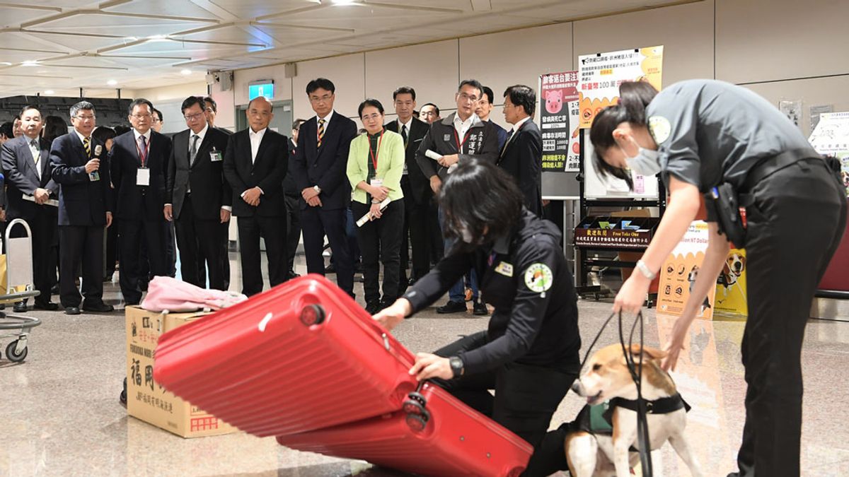 風評:長達7年的「國門防疫秀」還要演多久?非洲豬瘟檢查背後的官僚怠惰