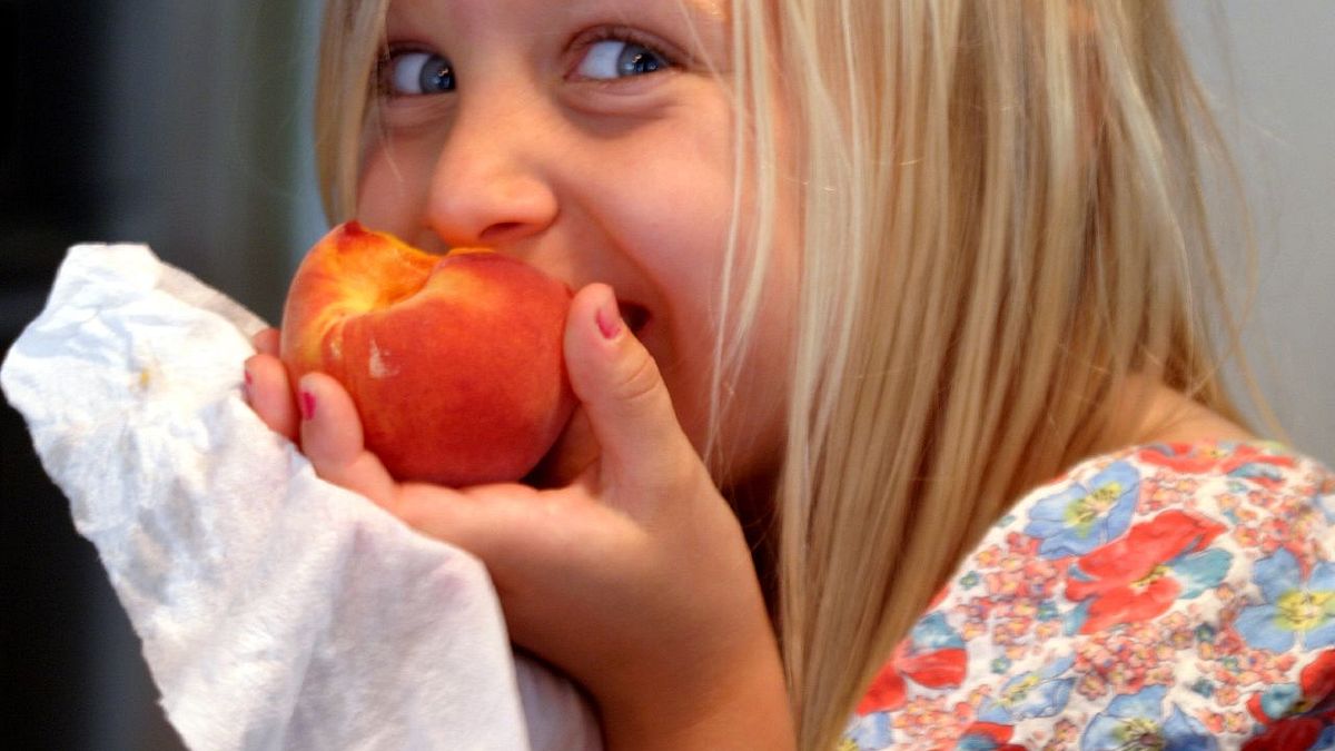 有了國外素食餐廳網站,素食者出國玩也能輕鬆享用異國美食(圖/Bruce Tuten@flickr) 有了國外素食餐廳網站,素食者出國玩也能輕鬆享用異國美食(圖/Bruce Tuten@flickr)