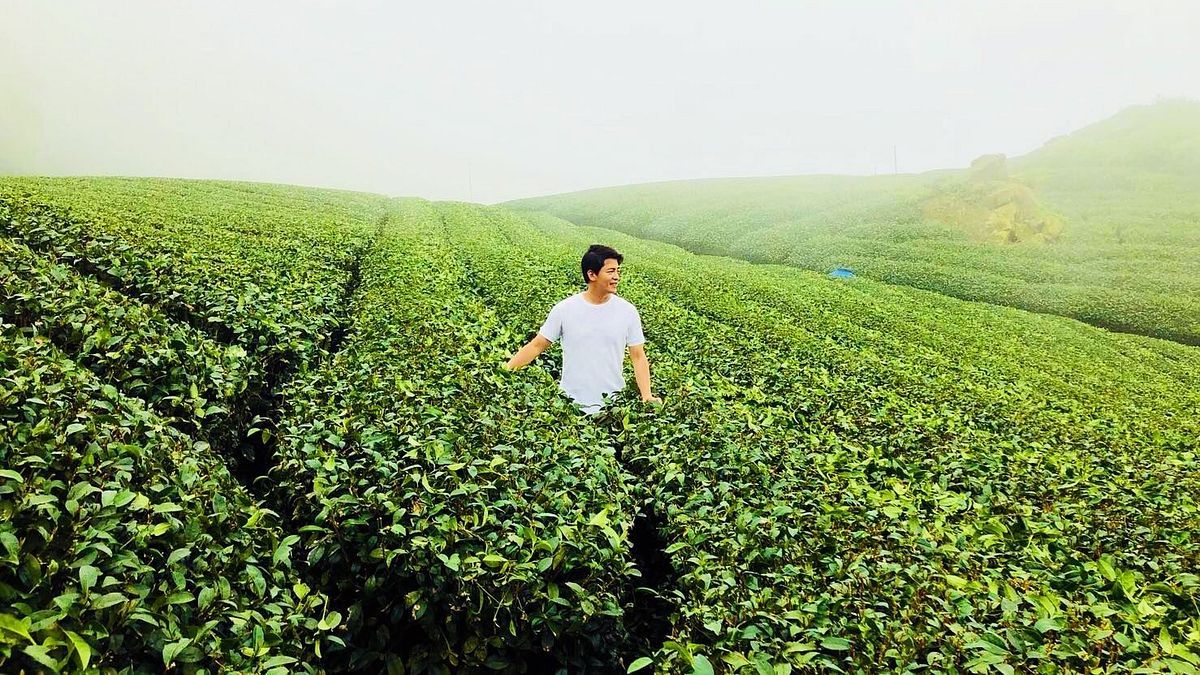 嘉義縣政府邀請旅行說書人謝哲青,7月9至10日前來「跟著茶旅行」,尋訪美麗福爾摩沙傳說中的茶鄉山城。(圖/嘉義縣政府提供) 嘉義縣政府邀請旅行說書人謝哲青,7月9至10日前來「跟著茶旅行」,尋訪美麗福爾摩沙傳說中的茶鄉山城。(圖/嘉義縣政府提供)