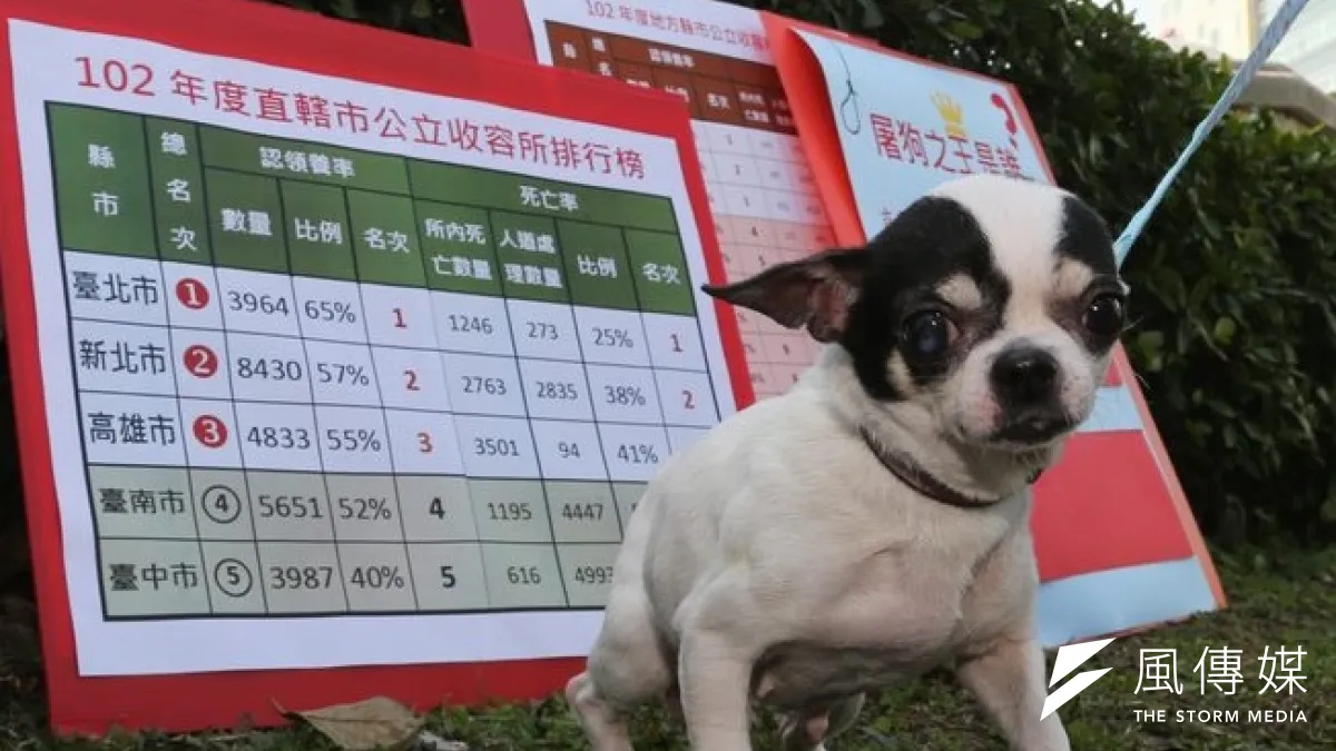 動保團25日到監院陳情,抗議台中市及屏東縣屠殺最多流浪動物。(余志偉攝)