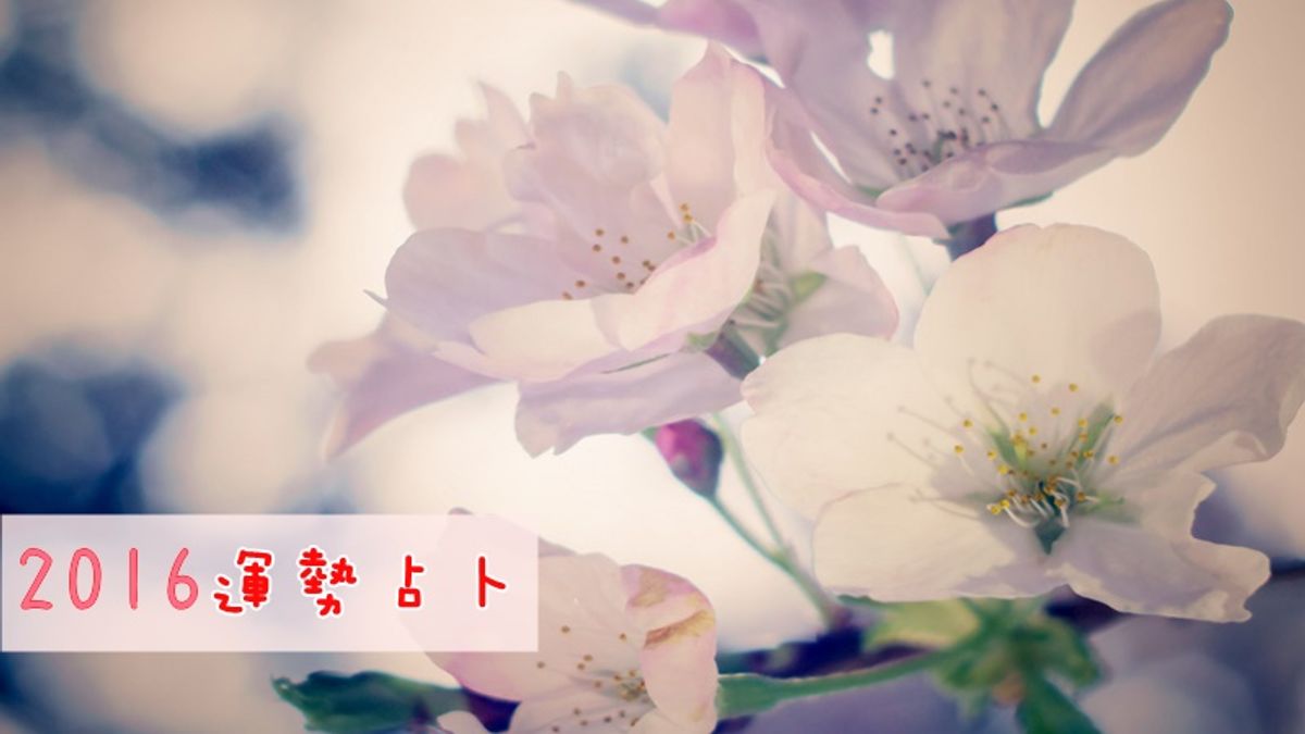 2016年運勢如何?從下方牌面憑直覺選一個(圖/Kevin Lee@flickr) 2016年運勢如何?從下方牌面憑直覺選一個(圖/Kevin Lee@flickr)