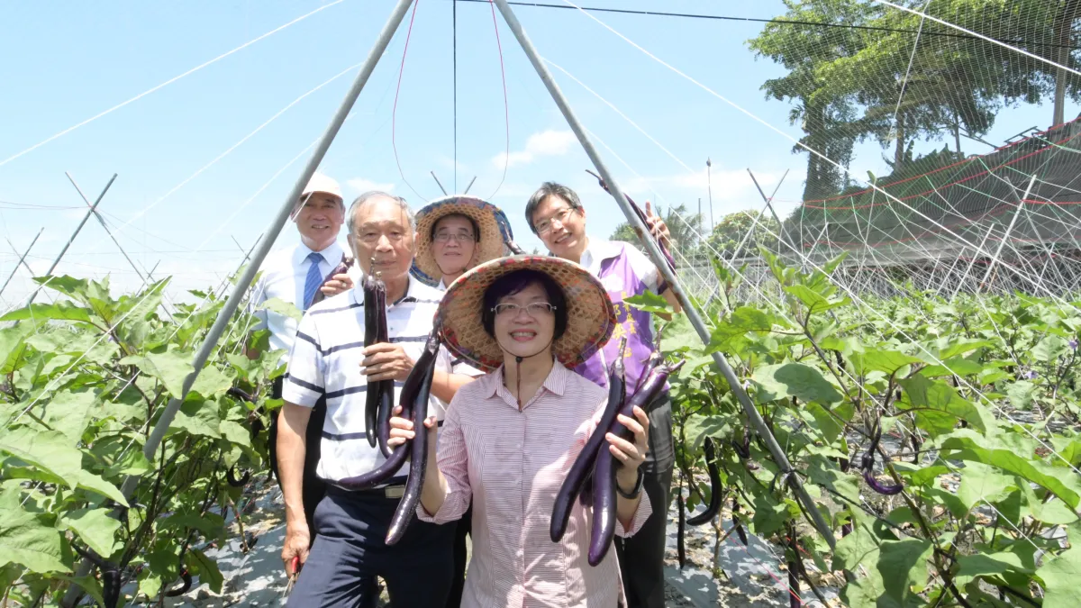彰化縣長王惠美參訪行銷麻糬茄。(圖/彰化縣政府提供)