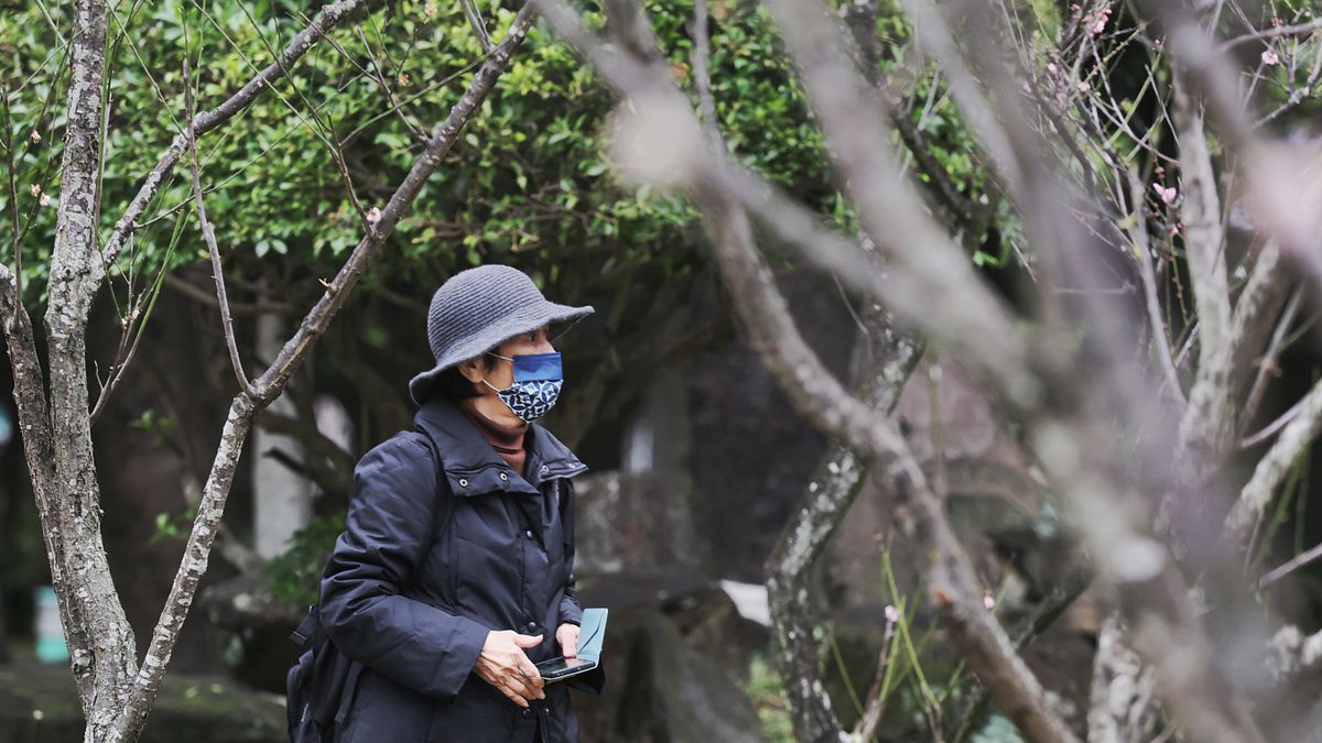 天氣預報》周末回溫飆30度!這1天起東北季風來襲剩15度,洛鞍颱風最快下周三生成