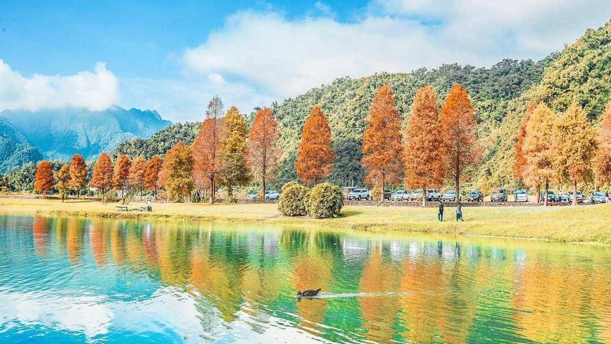 秋季出門親近大自然,不會大汗淋漓身心靈更容易平靜下來,走吧跟著小編來看全台必去賞楓景點、必看銀杏森林以及必走山毛櫸步道吧! (圖/IG@cindy_xu3ejo3提供) 秋季出門親近大自然,不會大汗淋漓身心靈更容易平靜下來,走吧跟著小編來看全台必去賞楓景點、必看銀杏森林以及必走山毛櫸步道吧! (圖/IG@cindy_xu3ejo3提供)