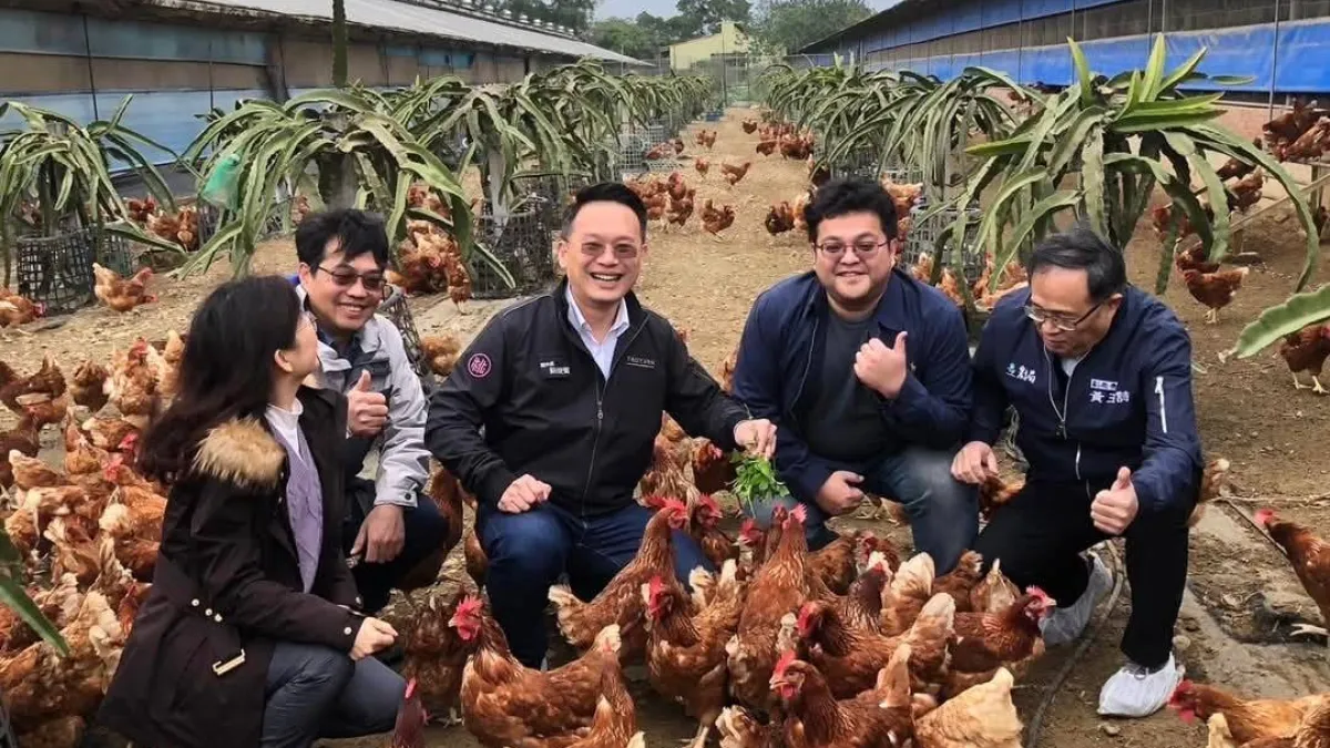 桃園市副市長蘇俊賓走訪畜牧場,了解友善養殖和無抗生素養殖成果。(圖/翻攝自蘇俊賓臉書)