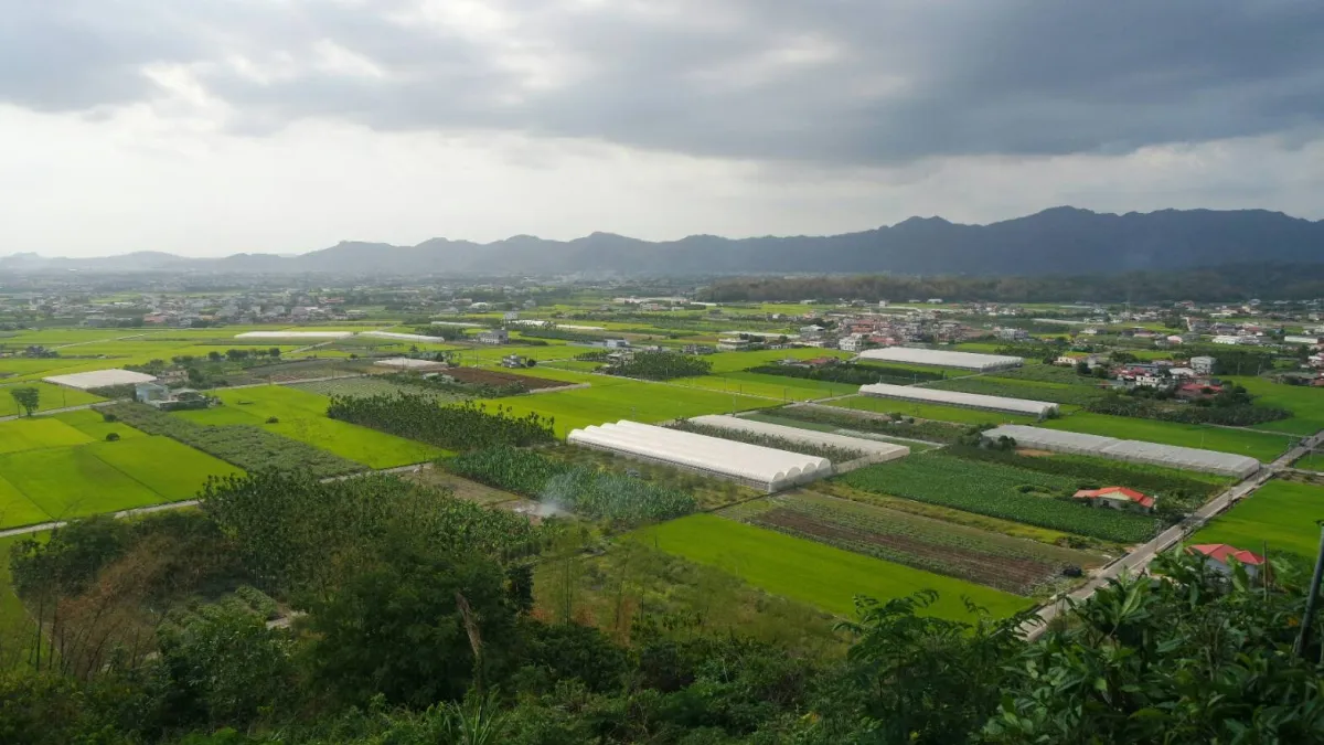 環保署2日公布2018年空氣品質監測數據,台中市是紅色警示次數減少比率最多的縣市。(資料照,高雄市政府農業局提供)