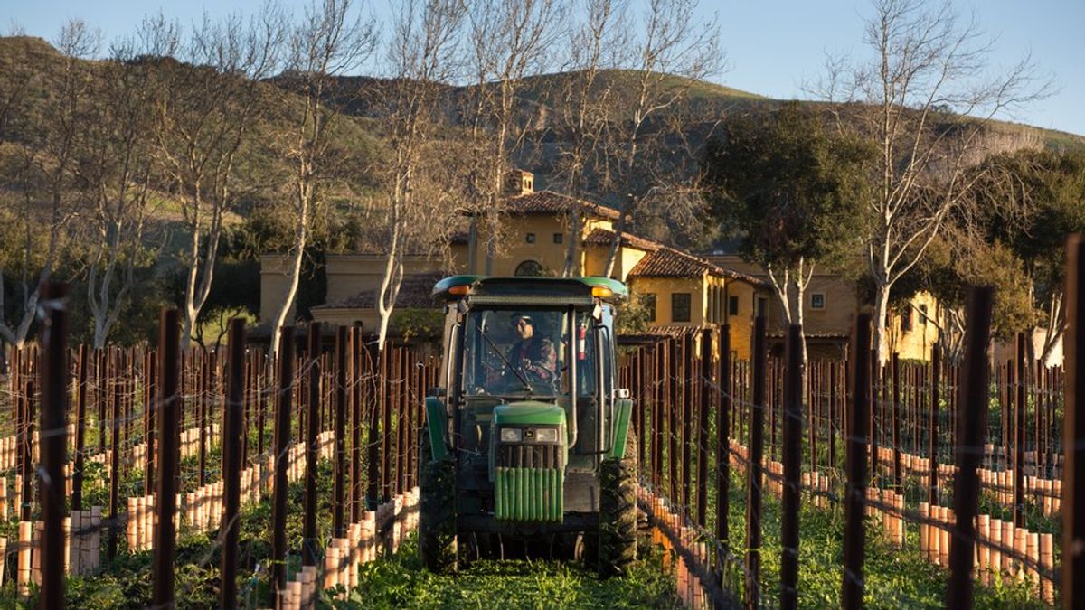 美國酒業從業者受到中國關稅的不斷打擊(BBC) 美國酒業從業者受到中國關稅的不斷打擊(BBC)