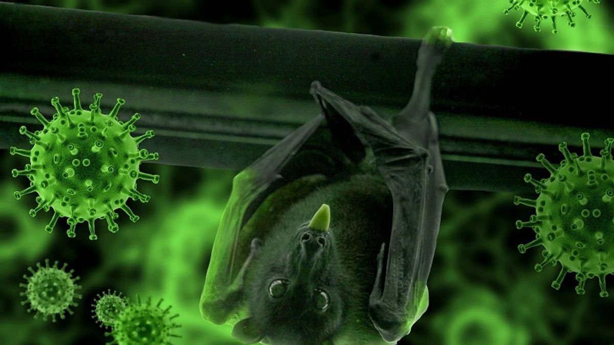 大部分,甚至所有獨特的文明傳染病,都可能是由動物傳給人類的。(圖/pixabay) 大部分,甚至所有獨特的文明傳染病,都可能是由動物傳給人類的。(圖/pixabay)