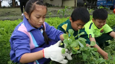 小學童種菜分享收穫 街頭叫賣愛心捐助弱勢