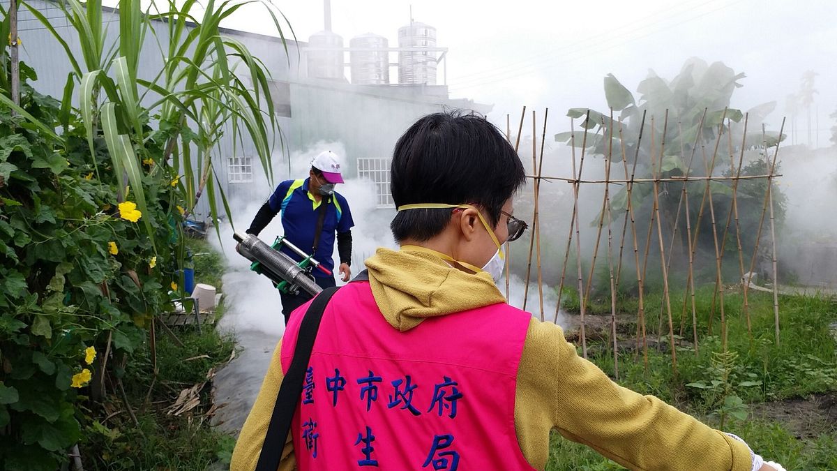 台中市爆登革熱群聚感染,最小病例為4歲女童,疾管署提醒民眾應做好防蚊措施。(台中市政府提供) 台中市爆登革熱群聚感染,最小病例為4歲女童,疾管署提醒民眾應做好防蚊措施。(台中市政府提供)