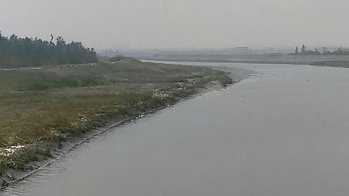 虎尾溪漂浮雞鴨死屍 雲縣府緊急清理