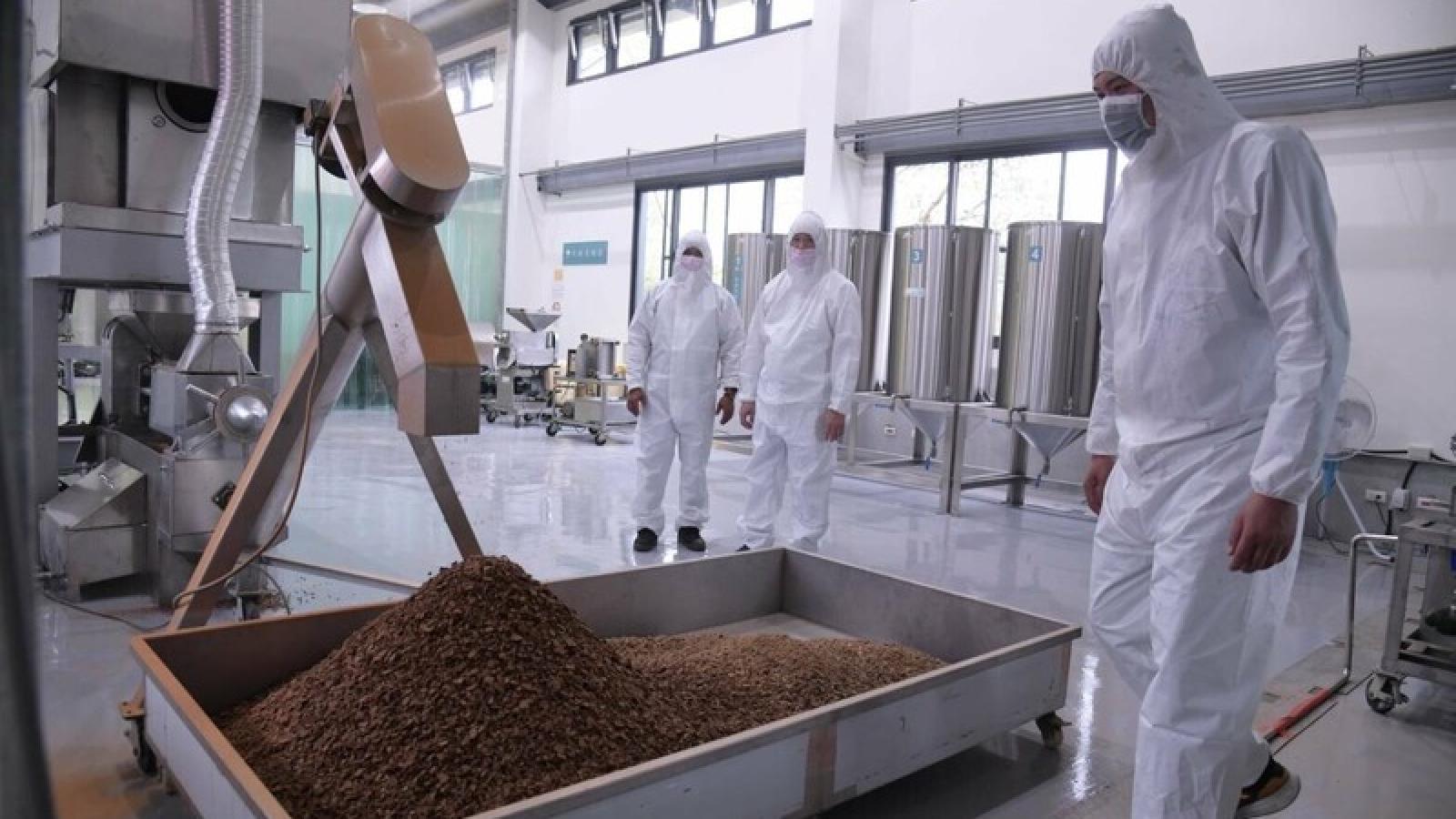金彥斌觀點:以事實團結社會─慈濟被詐騙撕開的裂痕