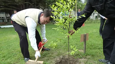 每年植樹節前後,許多機關機構都會進行植樹活動。(取自海巡署網站)