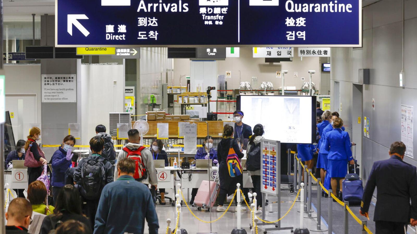 假貨也能換退稅?日本查獲200支假iPhone套利騙稅,3公司遭追稅1.1億日圓