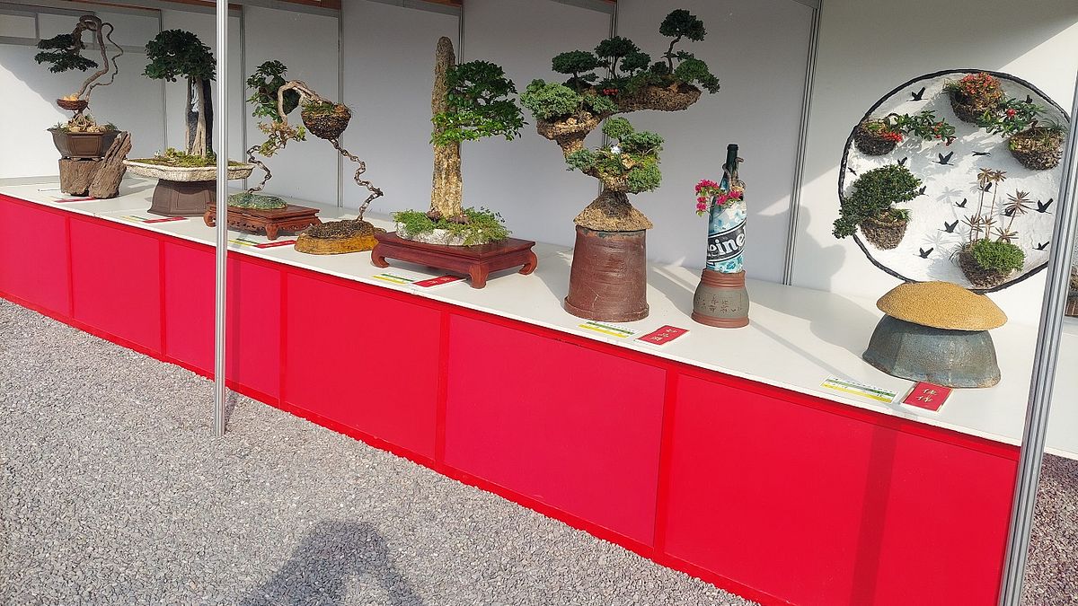 2023屏東熱帶農業博覽會展出樹藝雅石造景。(圖/屏東縣政府農業處提供) 2023屏東熱帶農業博覽會展出樹藝雅石造景。(圖/屏東縣政府農業處提供)