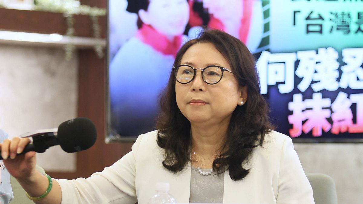 受中共指示助選?徐春鶯被依反滲透法起訴 綠委批民眾黨提名涉統戰人選