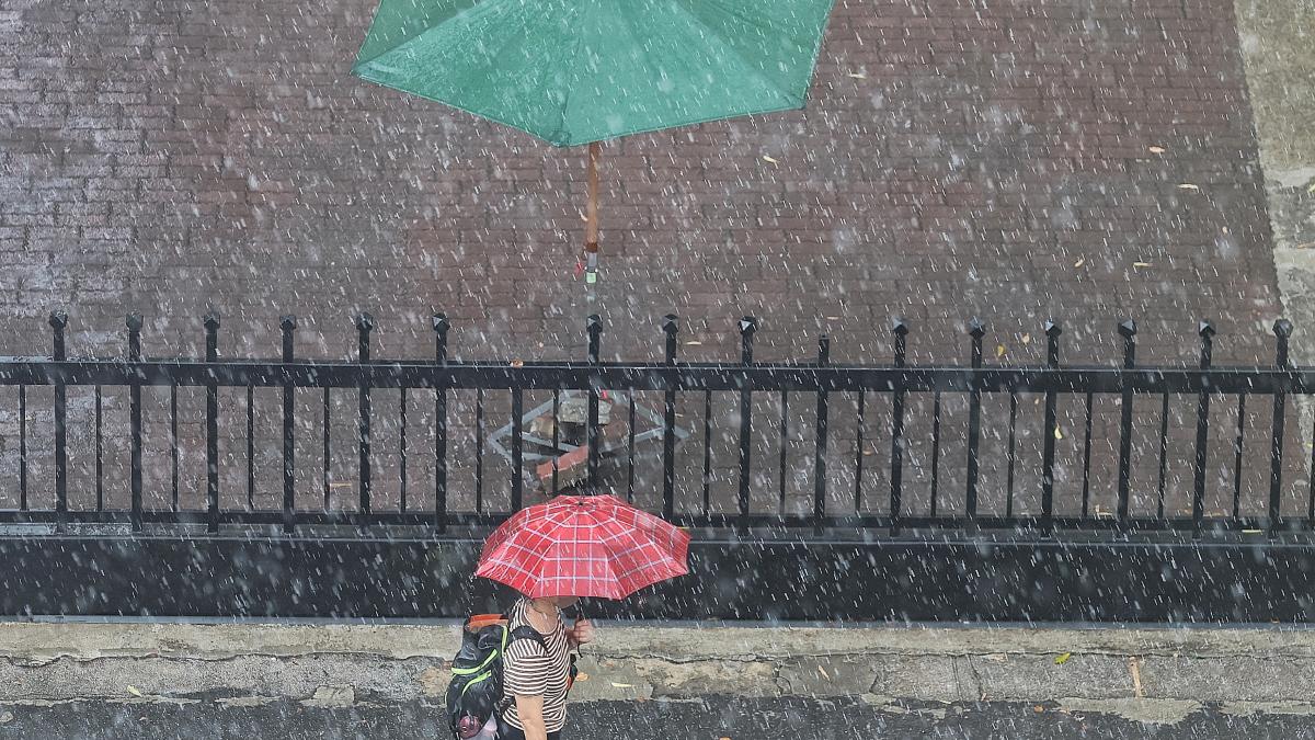 觀點投書:不只晴天值得出發─花蓮需要一套雨季經濟學