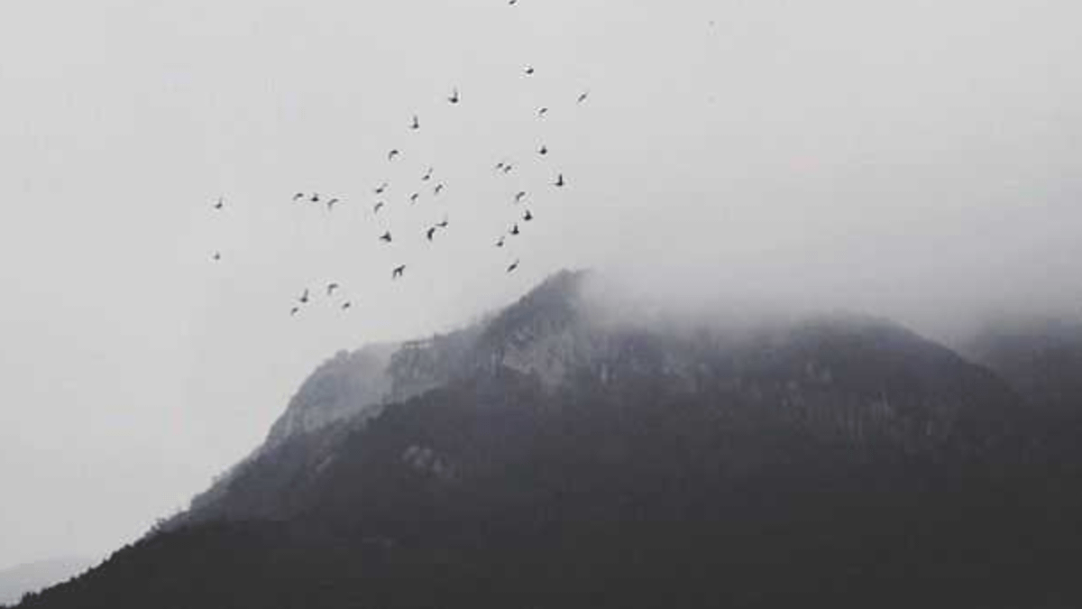 世界局勢動盪,令有識之士憂心忡忡。(圖片取自「劉君祖說系列」) 世界局勢動盪,令有識之士憂心忡忡。(圖片取自「劉君祖說系列」)