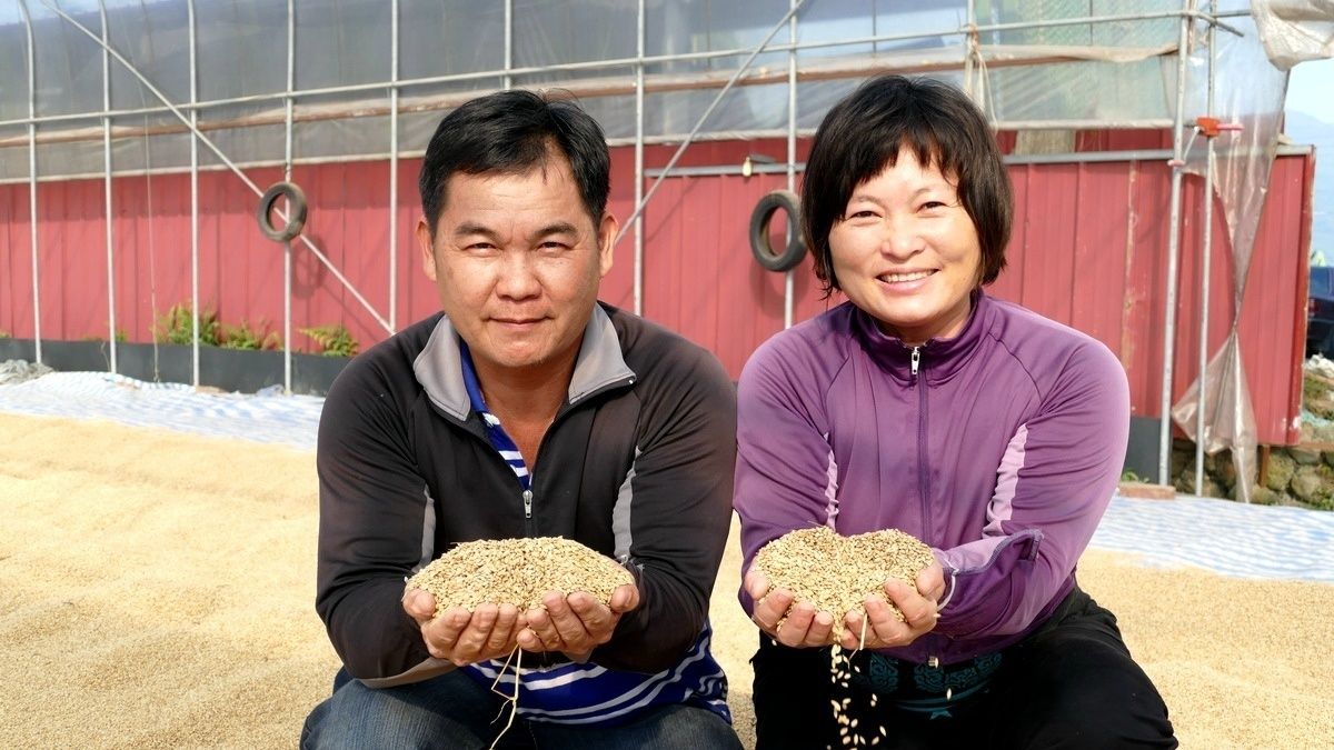 灌溉水源取自濁水溪 瑞田米堅持傳統日曬好味道 灌溉水源取自濁水溪 瑞田米堅持傳統日曬好味道