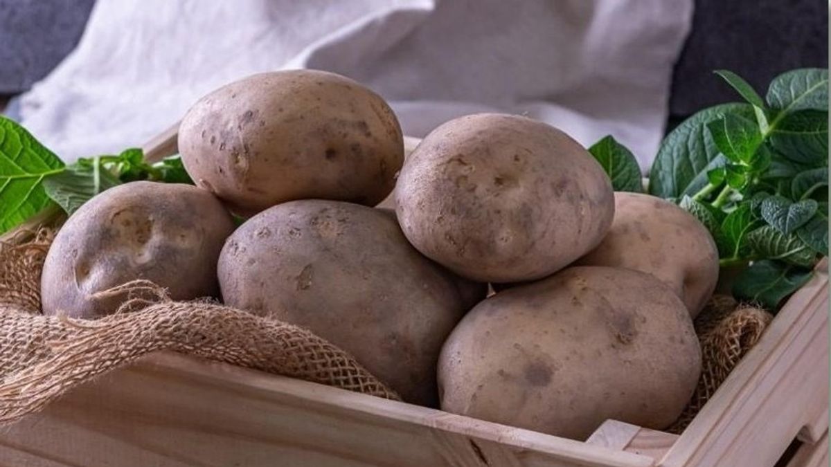 【新新聞】一顆發芽馬鈴薯 暴露農業部、衛福部互踢皮球