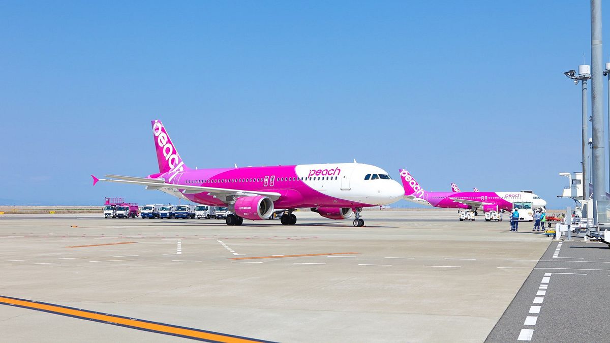 日本樂桃航空將重新啟動國際線航班,並以台灣航線打頭陣。(樂桃航空提供) 日本樂桃航空將重新啟動國際線航班,並以台灣航線打頭陣。(樂桃航空提供)