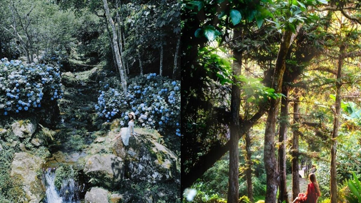 苗栗南庄的11個一日遊景點,一次大公開!(合成圖/取自IG@hsingfang20、@ting.chuan_) 苗栗南庄的11個一日遊景點,一次大公開!(合成圖/取自IG@hsingfang20、@ting.chuan_)