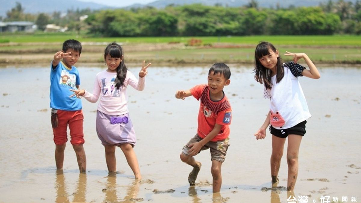 屏東彩稻攝影賽開跑 邀民眾挑戰五萬元大獎 屏東彩稻攝影賽開跑 邀民眾挑戰五萬元大獎