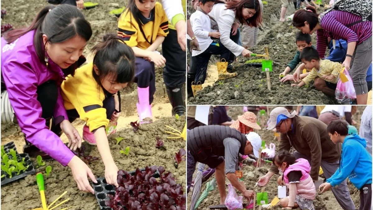 共享綠色生活 佃佃小農種菜去